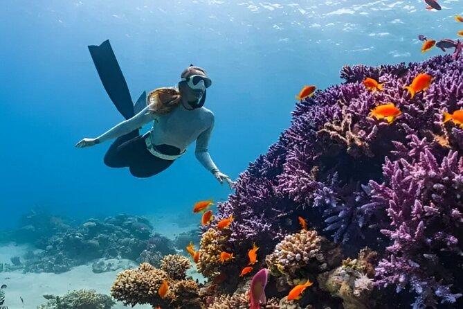 Coral Garden